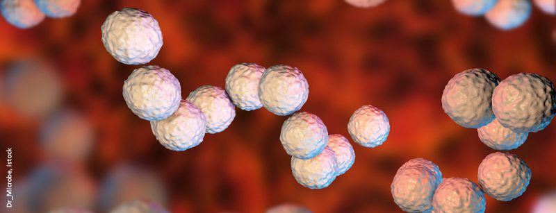 streptococcus-pyogenes_istock-808760696