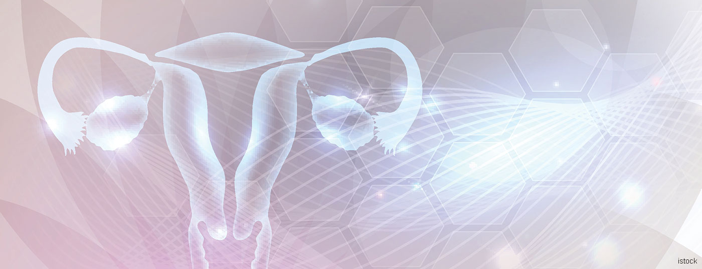 eierstock_gebaermutter