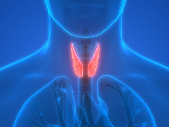 schilddruese_istock-879125820