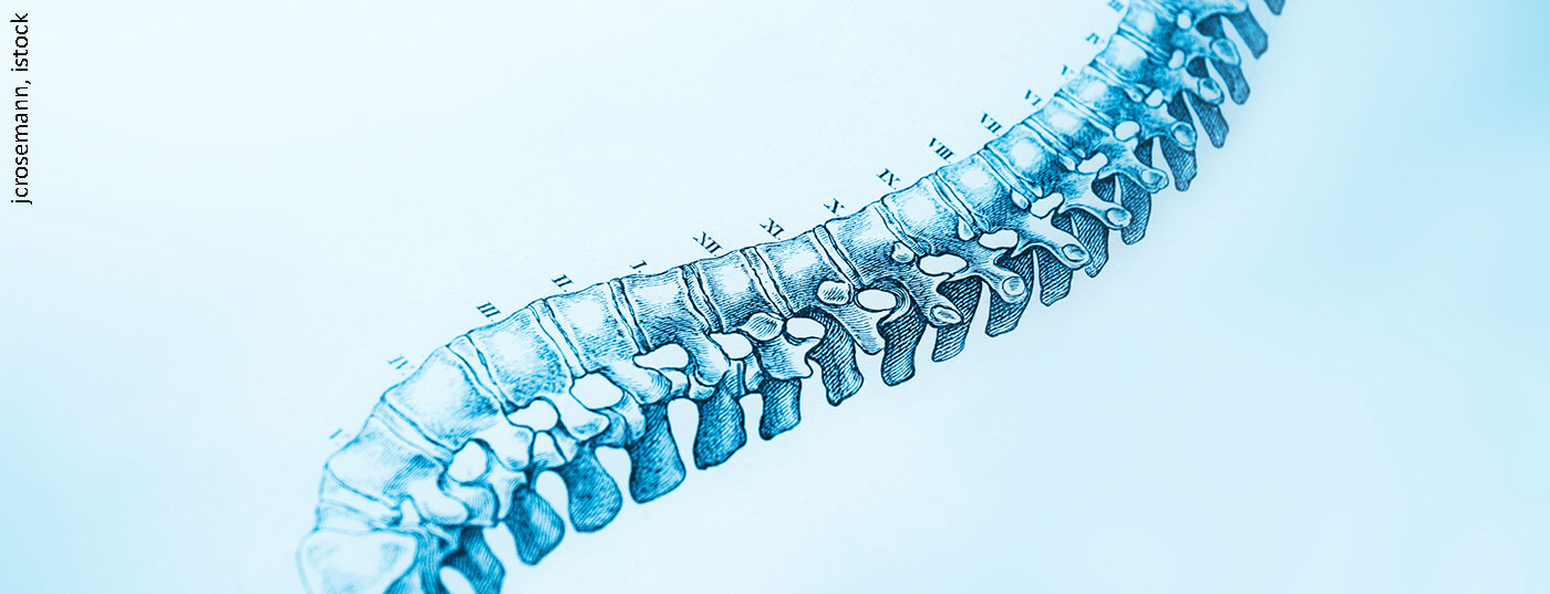 wirbelsaeule_istock-165942935