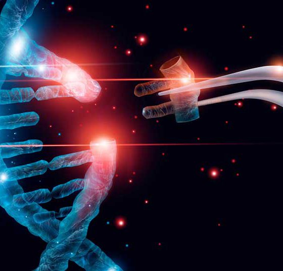 dna_genetik_istock-1150397413
