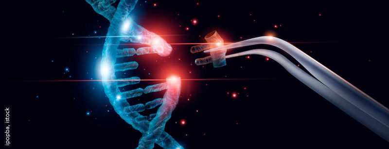 dna_genetik_istock-1150397413