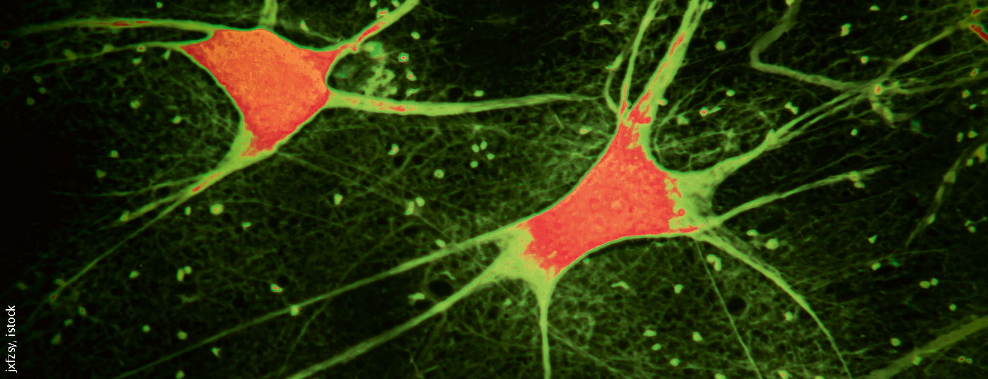 neuronen_istock-1165714317