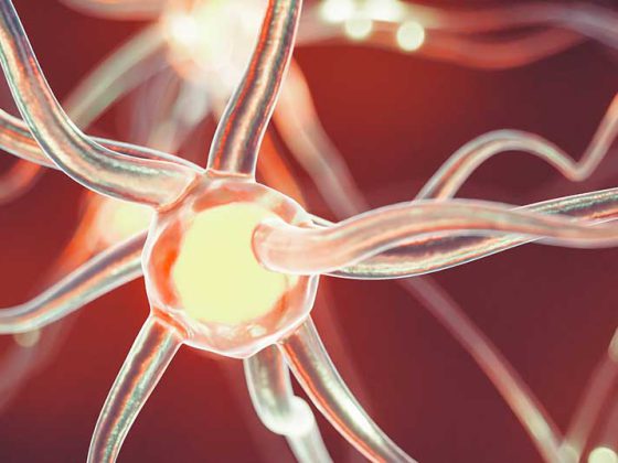 neuronen_istock-951921812