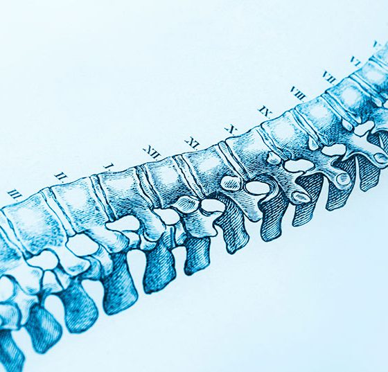 wirbelsaeule_istock-165942935