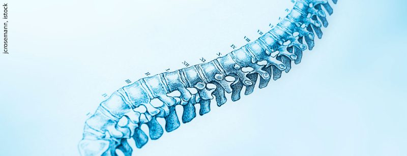 wirbelsaeule_istock-165942935