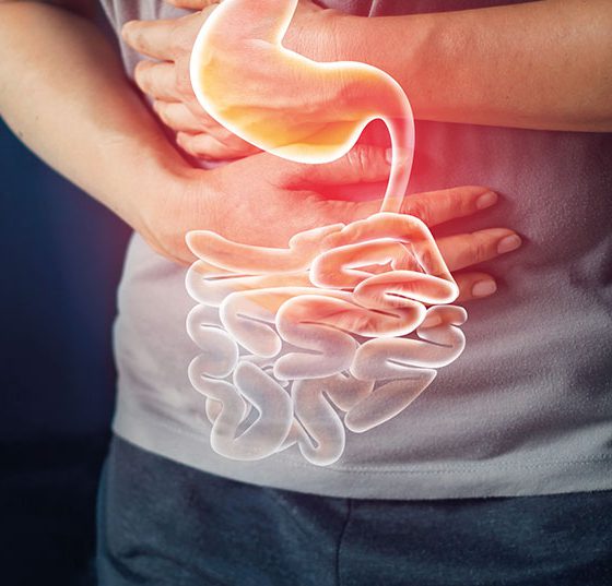 magen_gastro_istock-1023232572