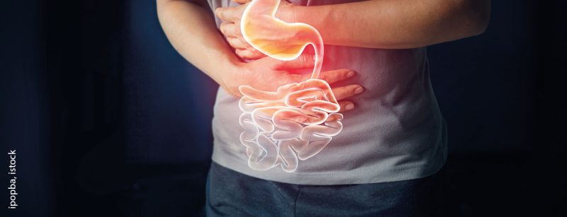 magen_gastro_istock-1023232572