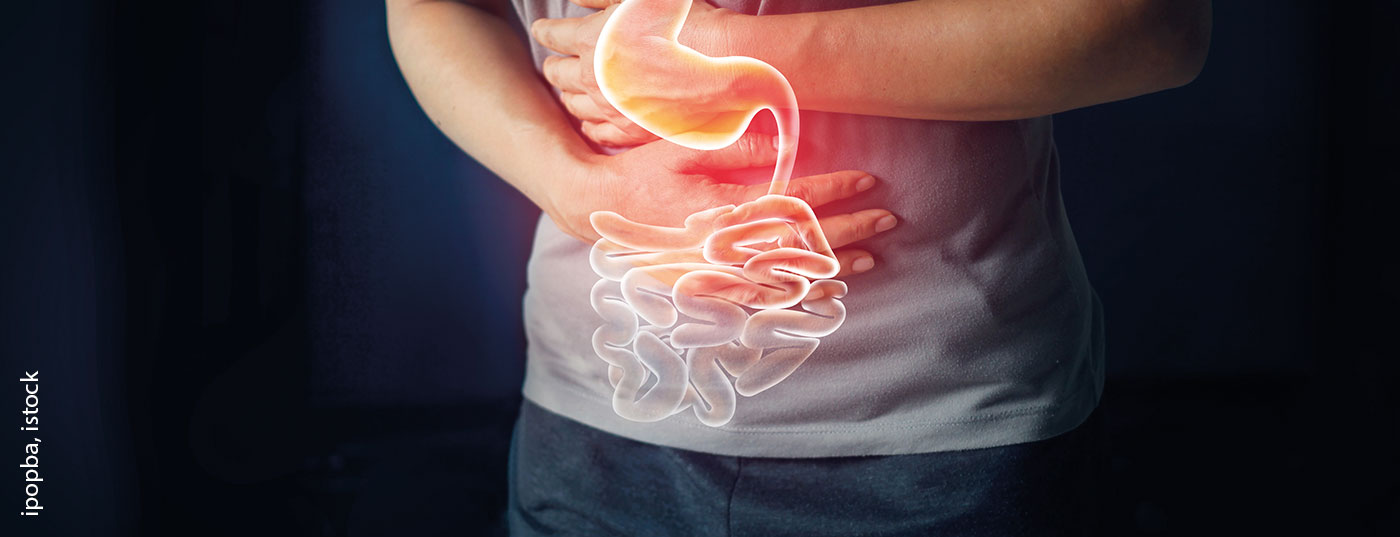 magen_gastro_istock-1023232572