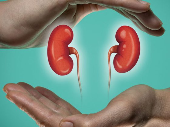 nieren_istock-1125719605