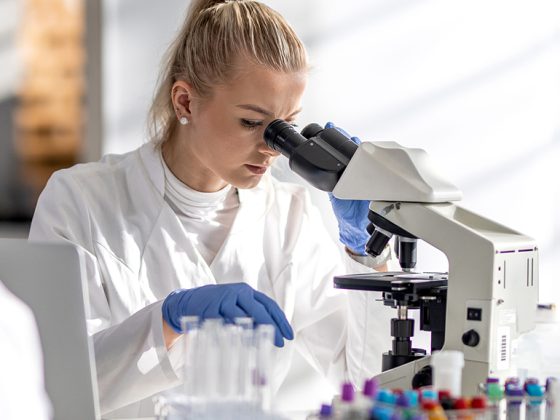 istock-1196203326_kopie