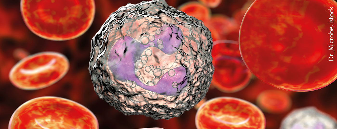 neutrophil_istock-1040455726