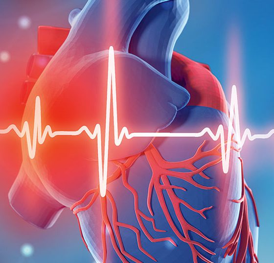 herz_ekg_istock-1126117038