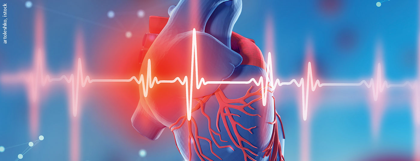 herz_ekg_istock-1126117038