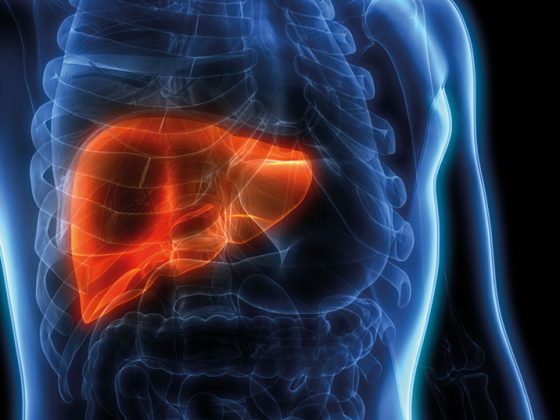 leber_istock-1022363720