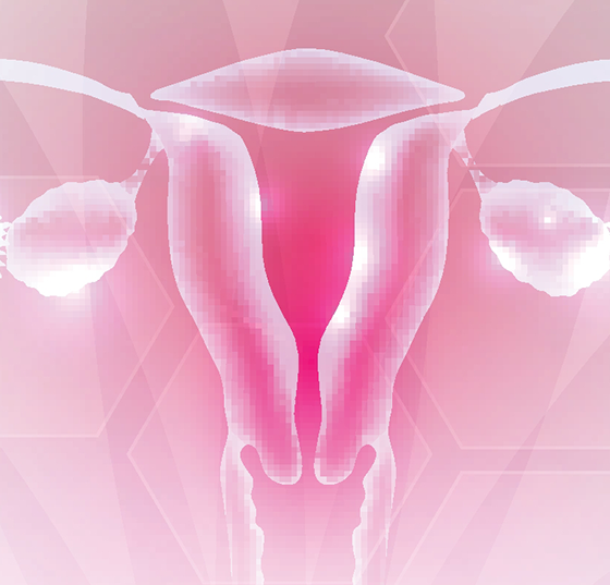 gebaermutter_istock-1078639426