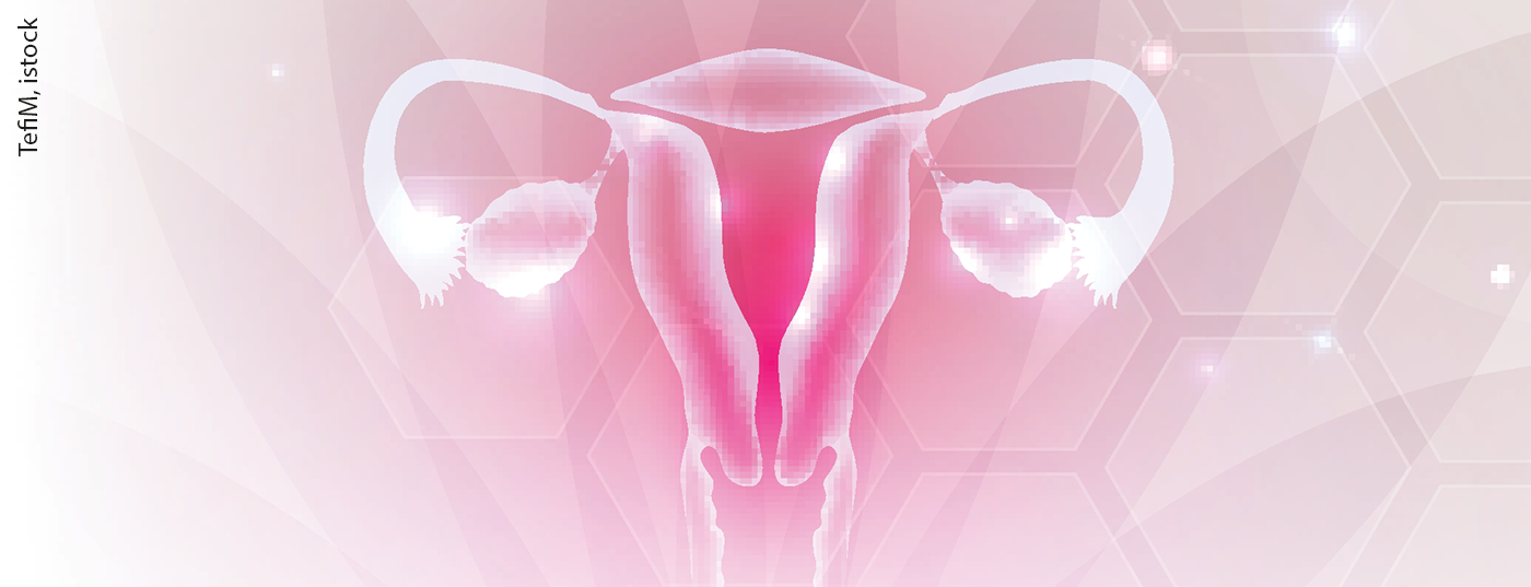 gebaermutter_istock-1078639426