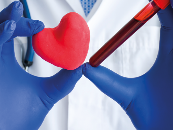 herz_blut_istock-1182221620