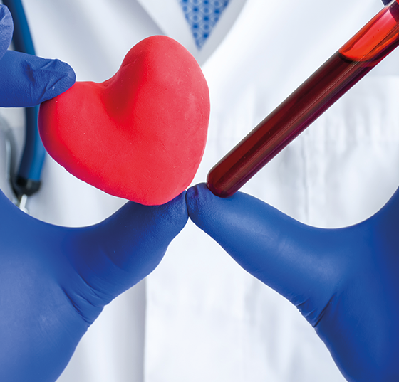 herz_blut_istock-1182221620