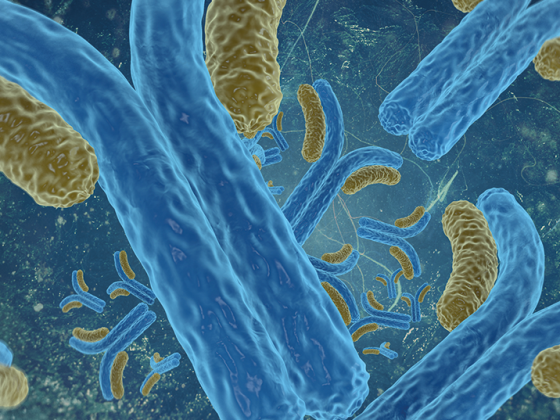 mgus_istock-487540447