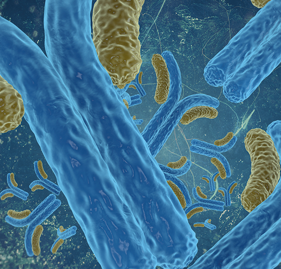 mgus_istock-487540447