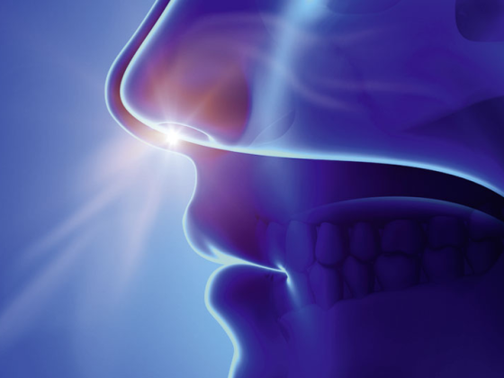 nase_schnupfen_istock-496520013