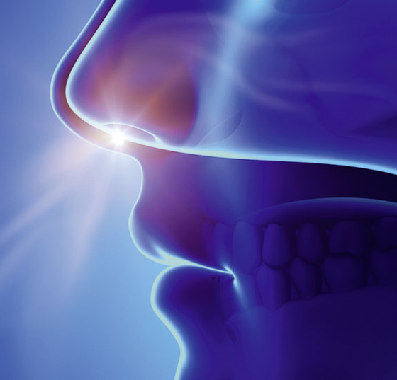 nase_schnupfen_istock-496520013