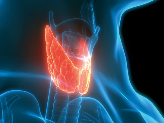 schilddruese_istock-1225753024