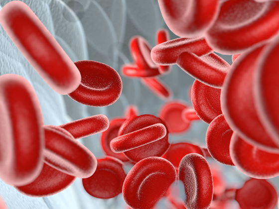 blut_istock-1261460841