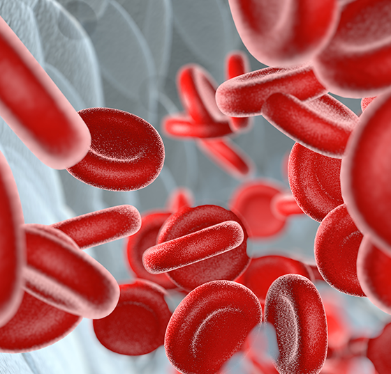 blut_istock-1261460841