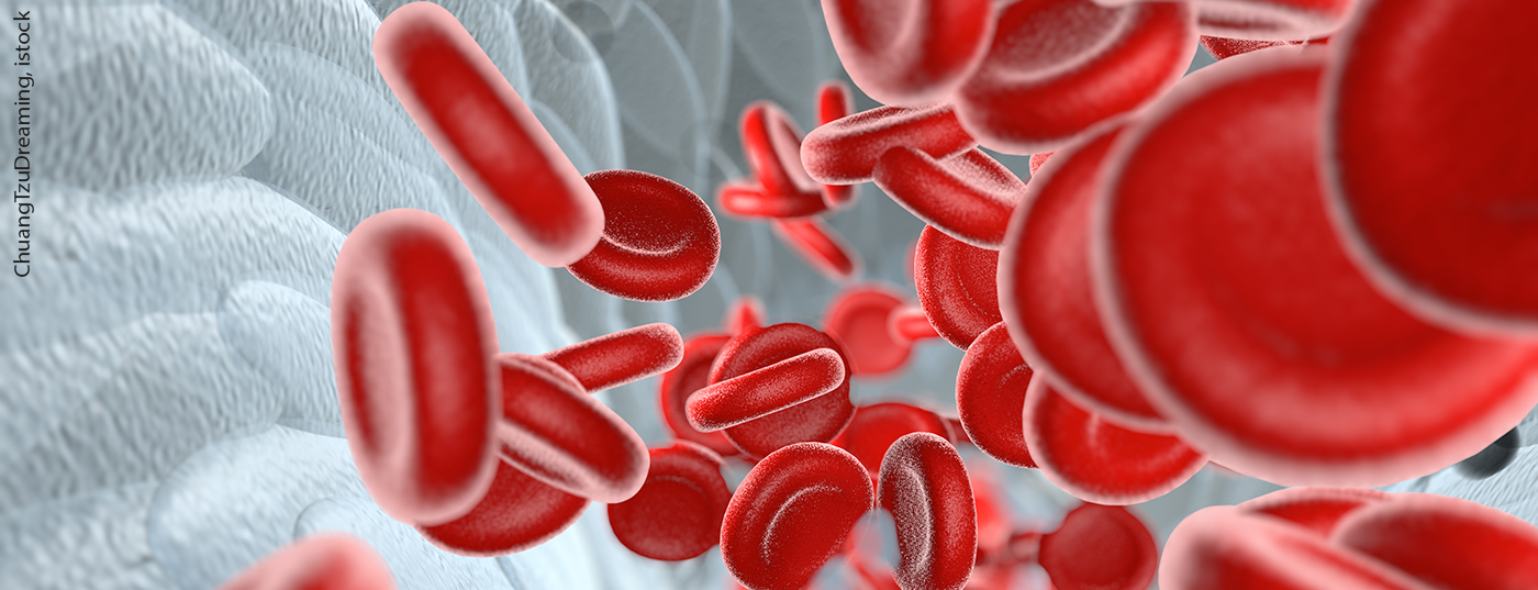 blut_istock-1261460841