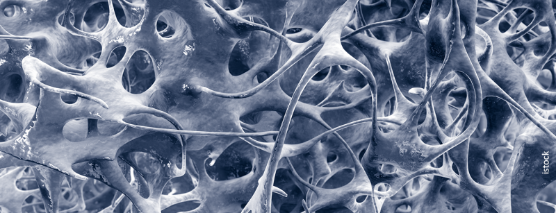 knochenstruktur_istock-1267929575-blau