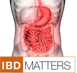 logo_ibd_0