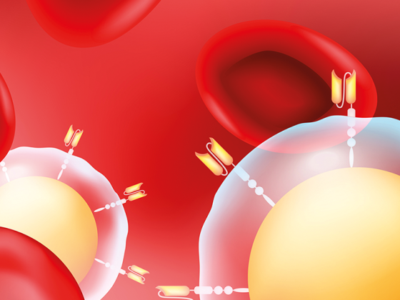 tzelle_blut_istock-1325565853