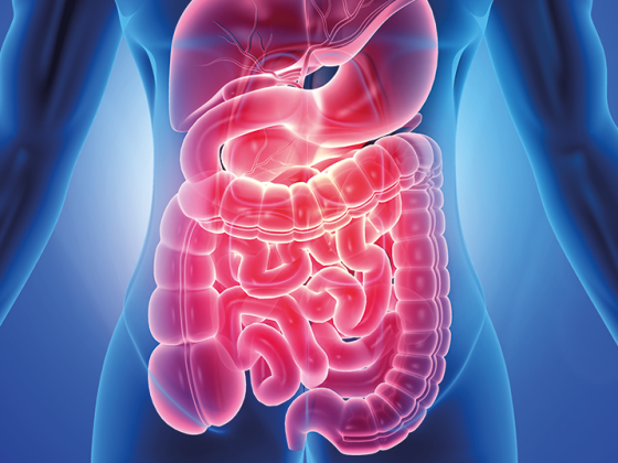 darm_istock-1250203796