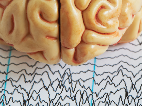 gehirn_gehirnwellen_istock-1019216984