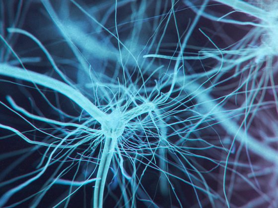 istock-937894966-2-2