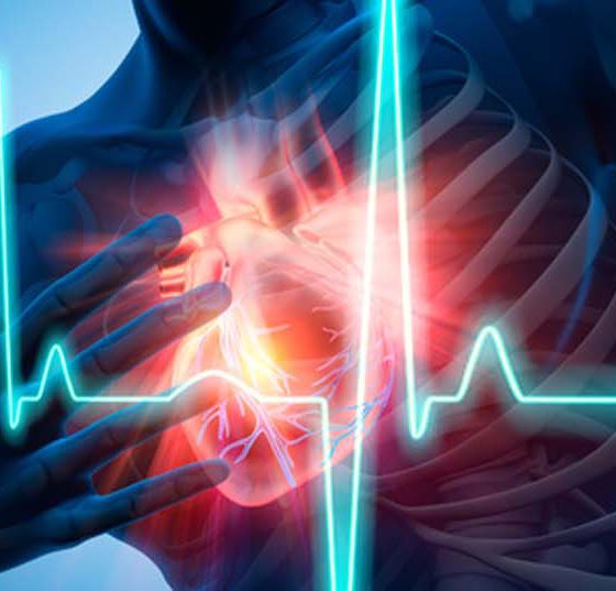 herz_kreislauf_vorhofflimmern