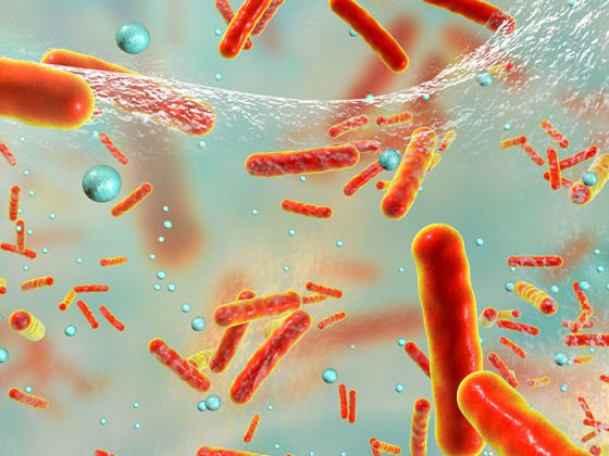 antibiotika_istock-861991888