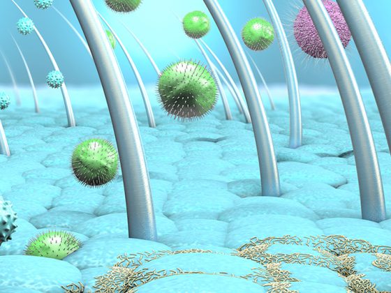 kopfhaut_bakterien_istock-1135794757