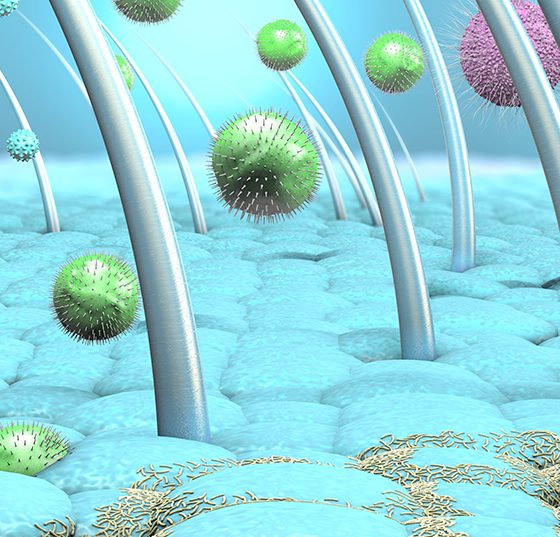 kopfhaut_bakterien_istock-1135794757