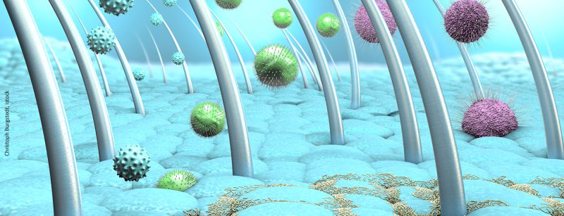 kopfhaut_bakterien_istock-1135794757