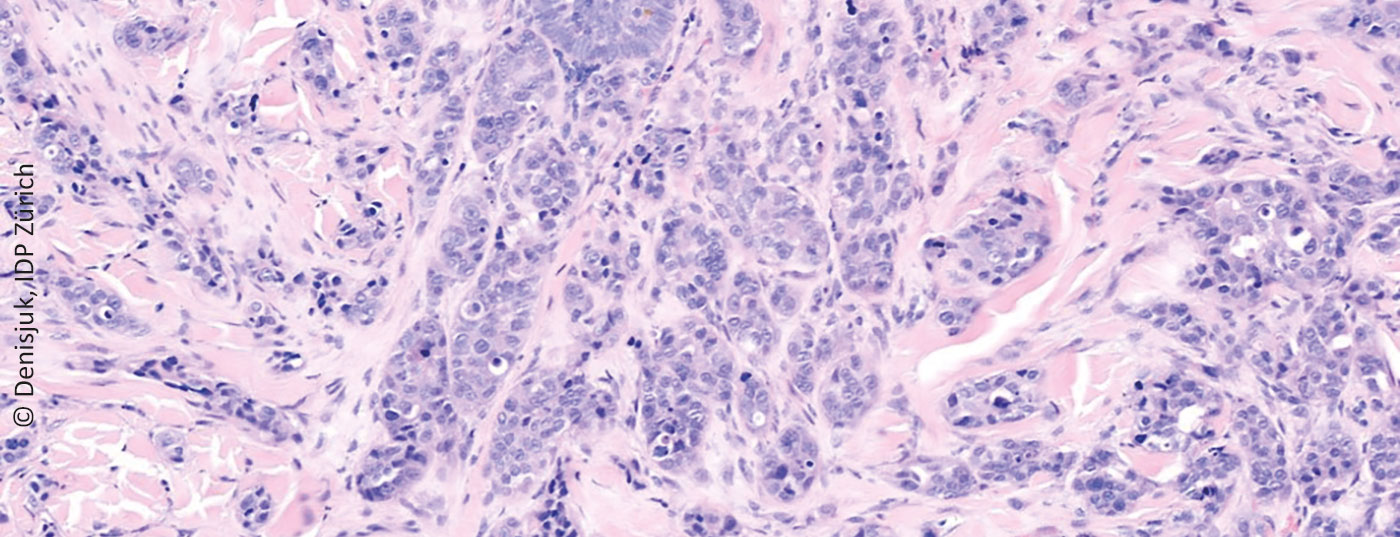 sacuman_dpheader