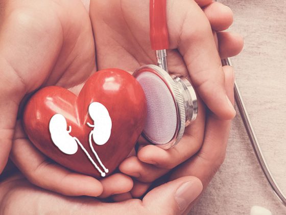 herz_niere_istock-1130391888