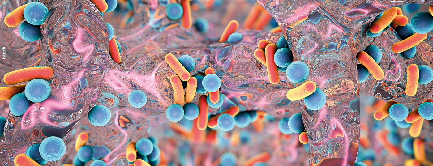 bakterien_mrsa_istock-615888618