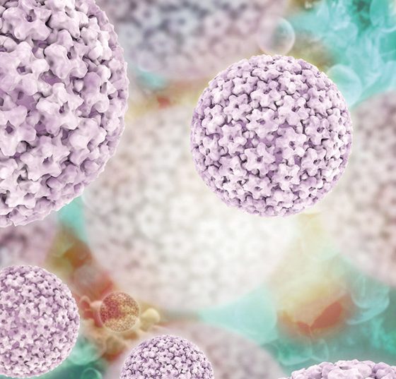 hpv_istock-481329303