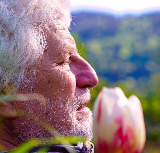 senior_istock-1317533056