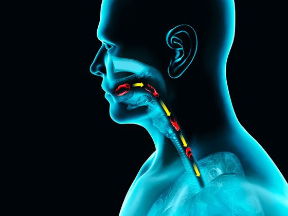 speiseroehre_istock-1201926595