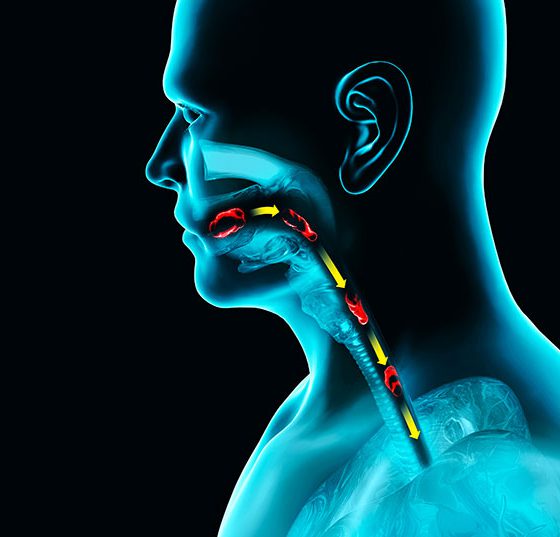 speiseroehre_istock-1201926595