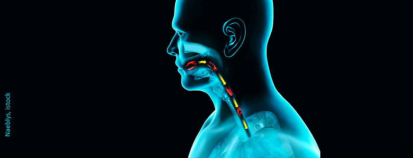 speiseroehre_istock-1201926595